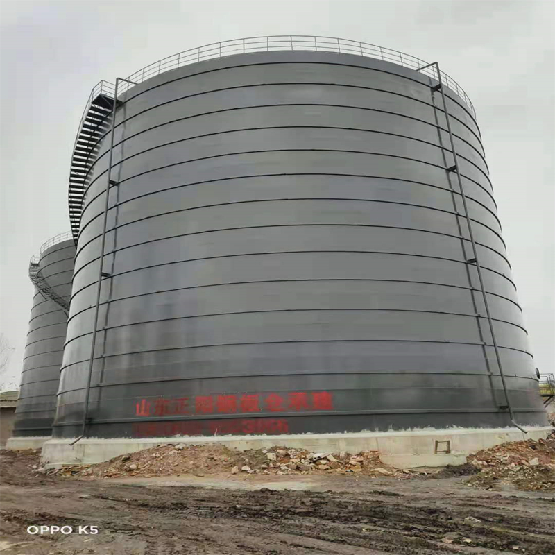 港口3万吨大型钢板库